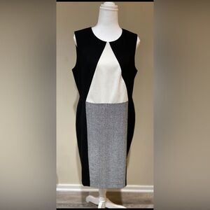 Calvin Klein Black and White Colorblock Dress